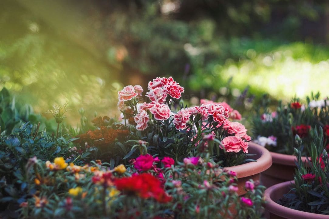 Why Mulch Makes a Big Difference